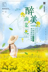 醉美油菜花旅行社