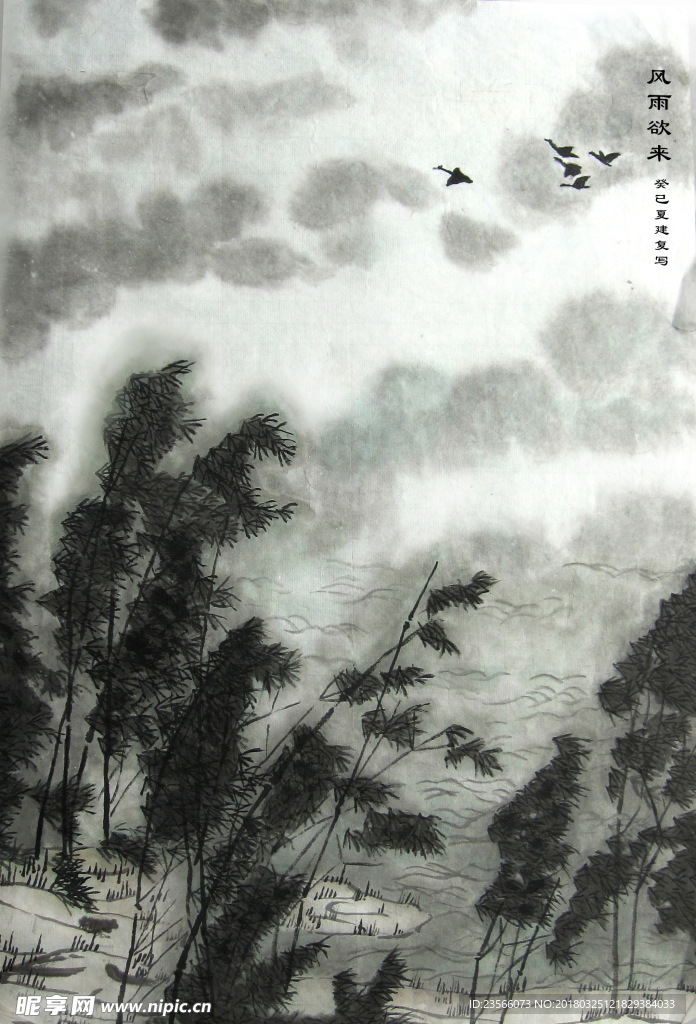 水墨植物风景画芦苇