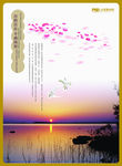 夕阳