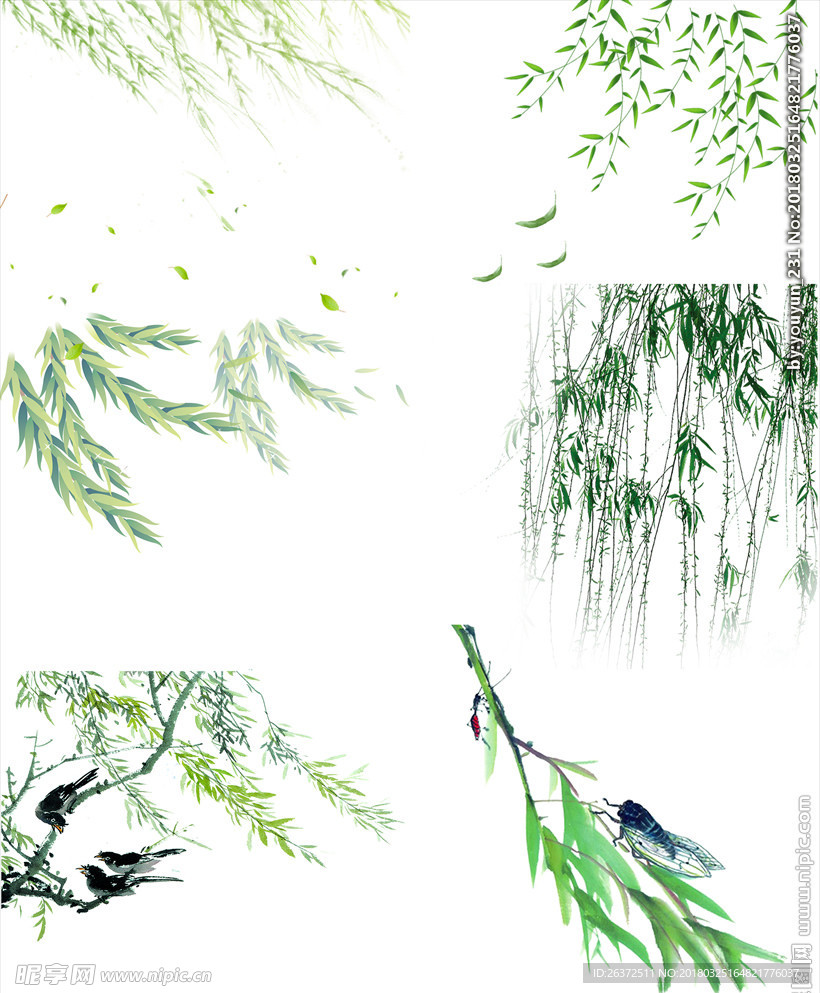 柳枝柳条