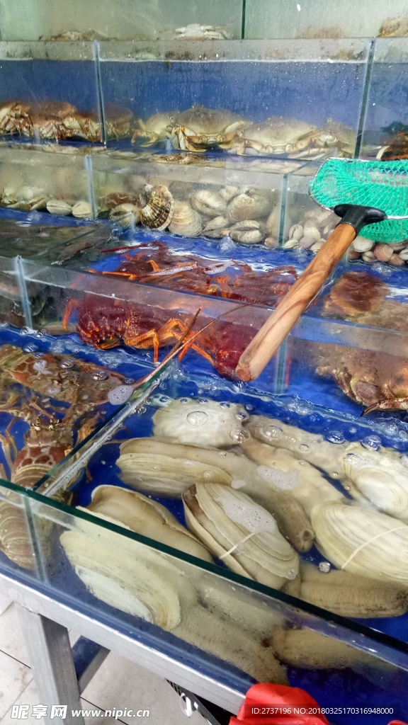 海鲜