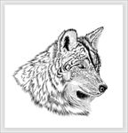 手绘狮子 手绘素描 插画