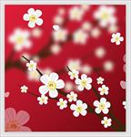 艺术花纹图案图片