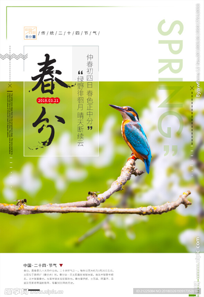 传统二十四节气春分