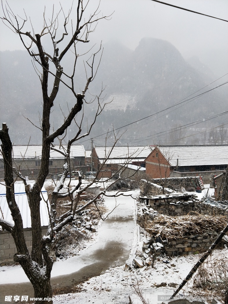 下过雪的农村小景