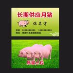 猪名片