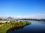 夏日美景