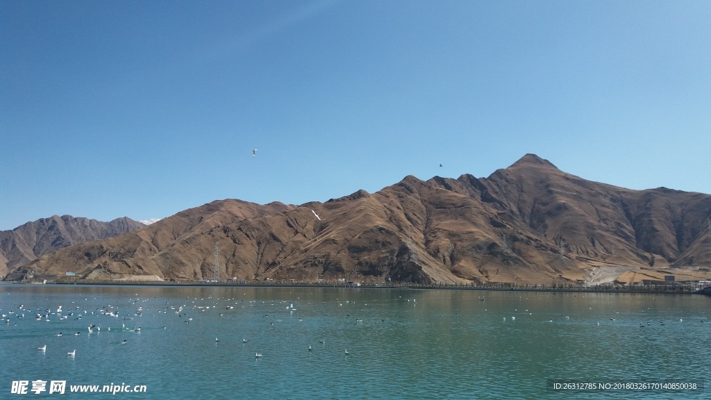 蓝天绿水拉萨风景