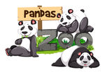 熊猫