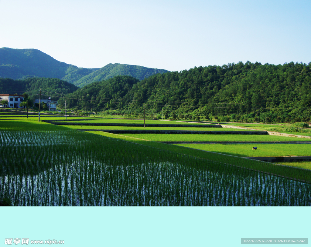 田园风光