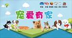 宠爱有家
