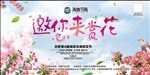 邀您来赏花