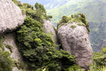 温岭方山云雾山庄