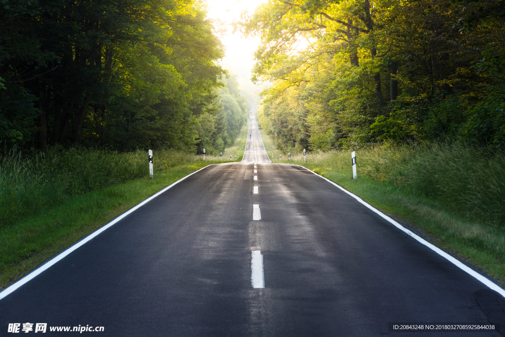 森林道路