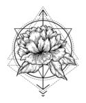 花纹插画