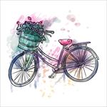 手绘自行车