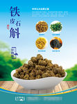 铁皮石斛海报