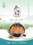 冬虫夏草海报