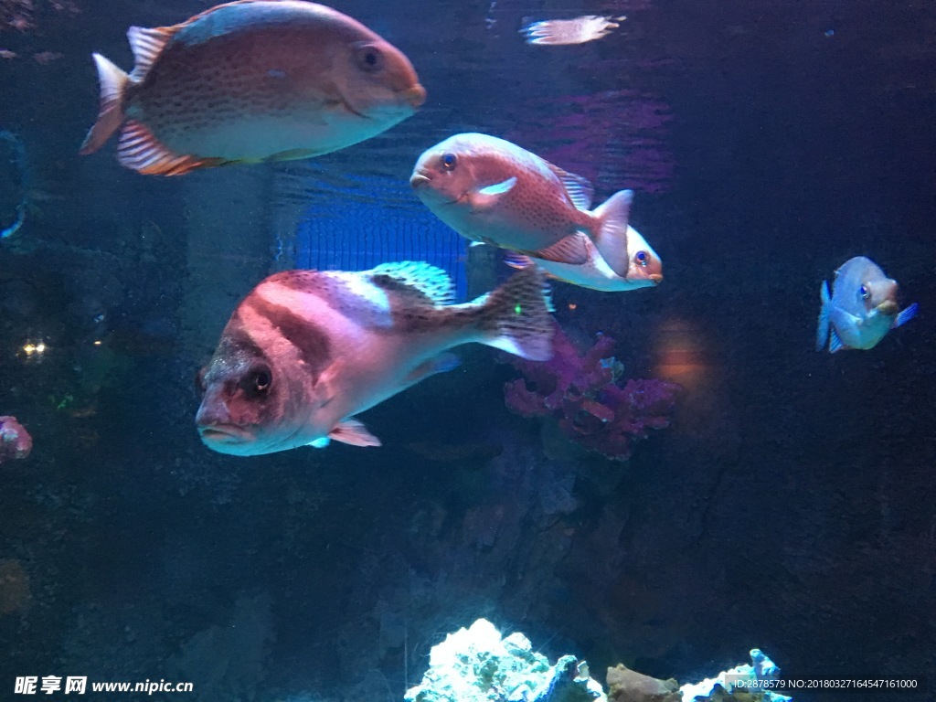 海底世界