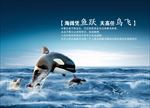 逆戟鲸