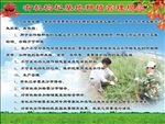 管理规范