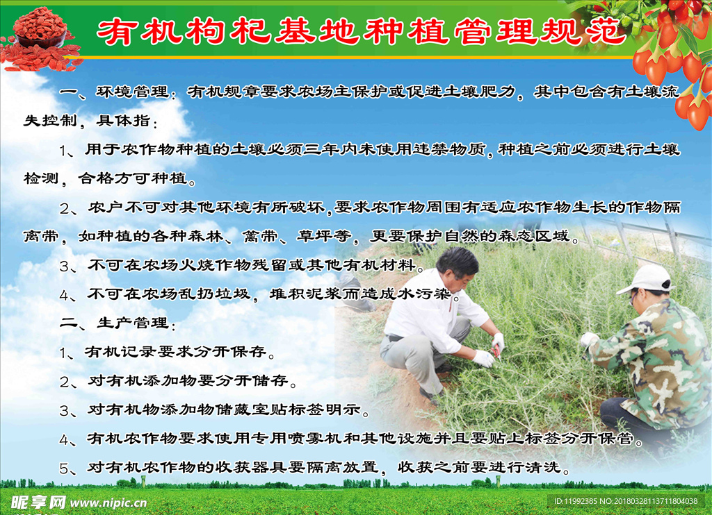 管理规范