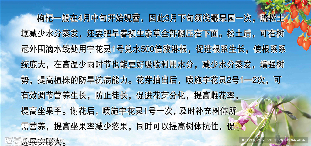 开花期管理