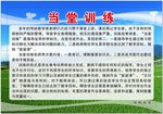 大学中学小学文明课程宣传语展板