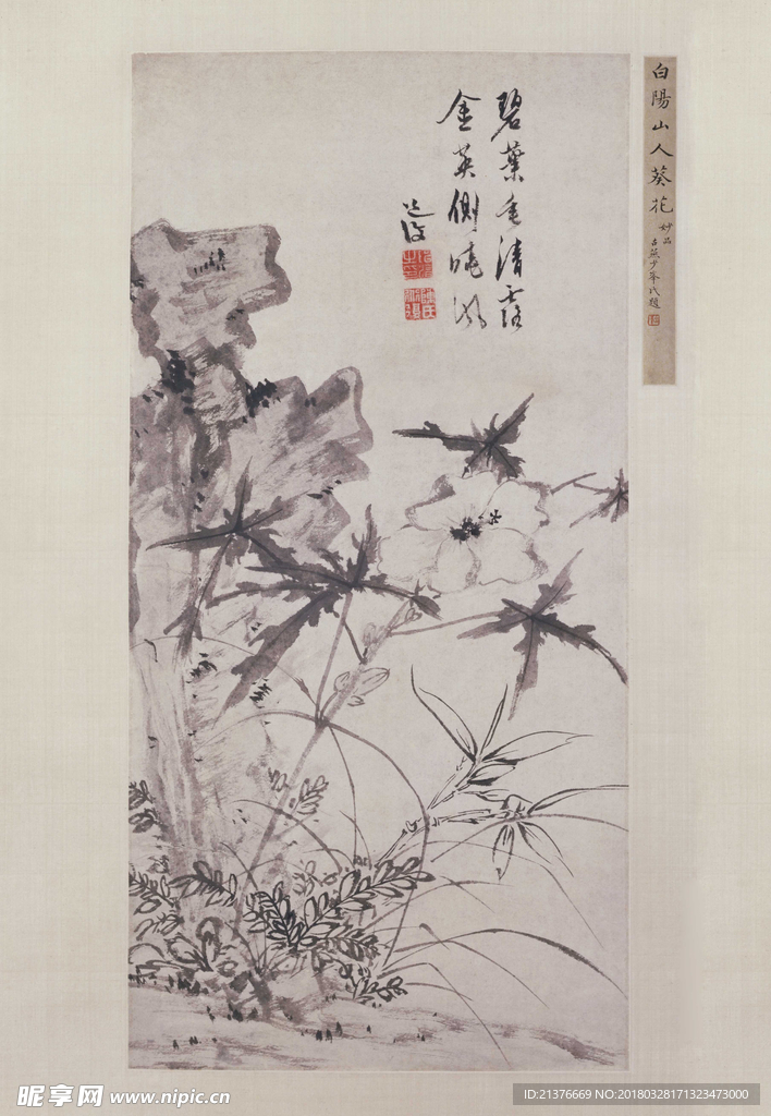 陈淳葵石图轴