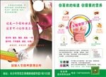 营养顾问彩页