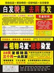 丝秀堂彩页