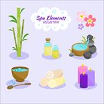 漂亮的温泉spa按摩元素集合
