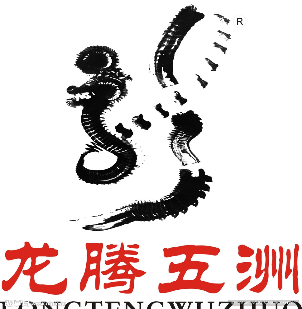 龙腾五洲 LOGO