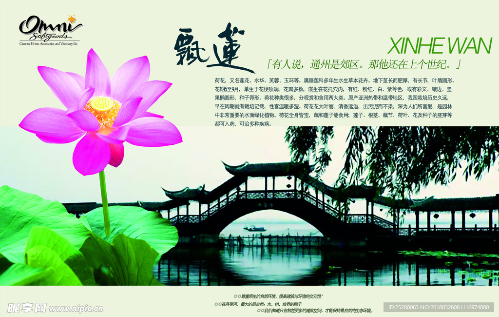 莲花