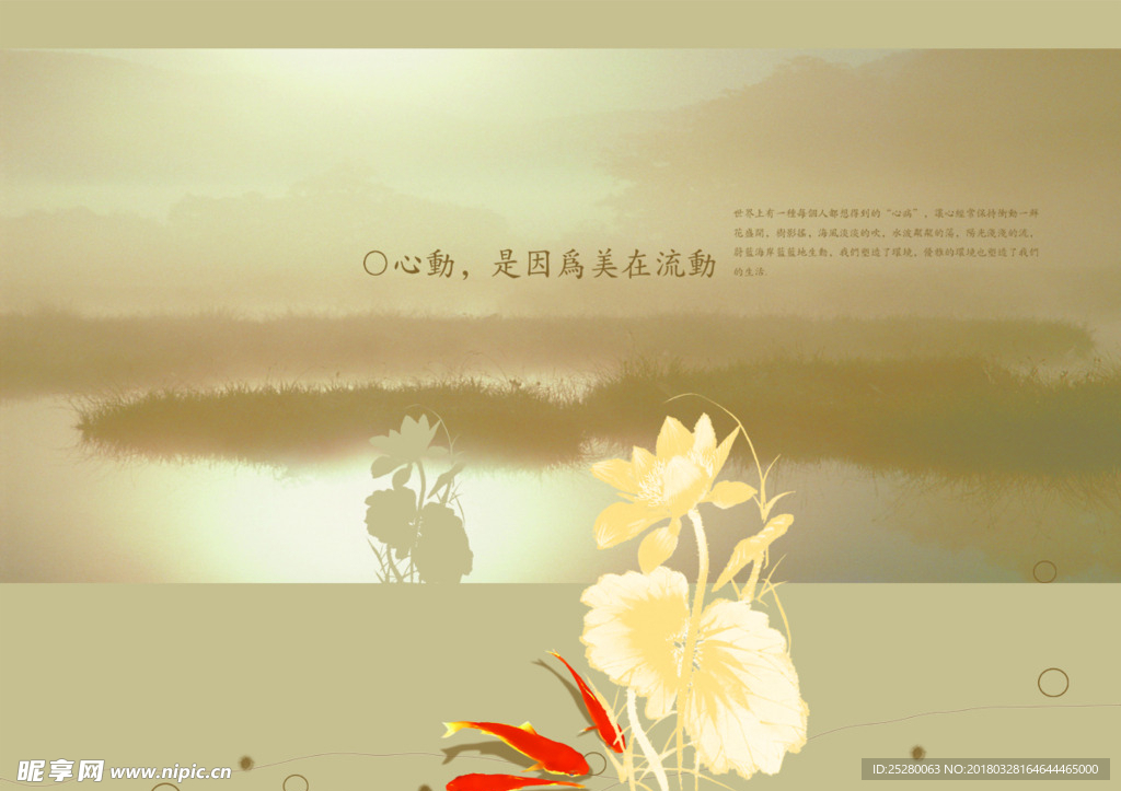 荷花