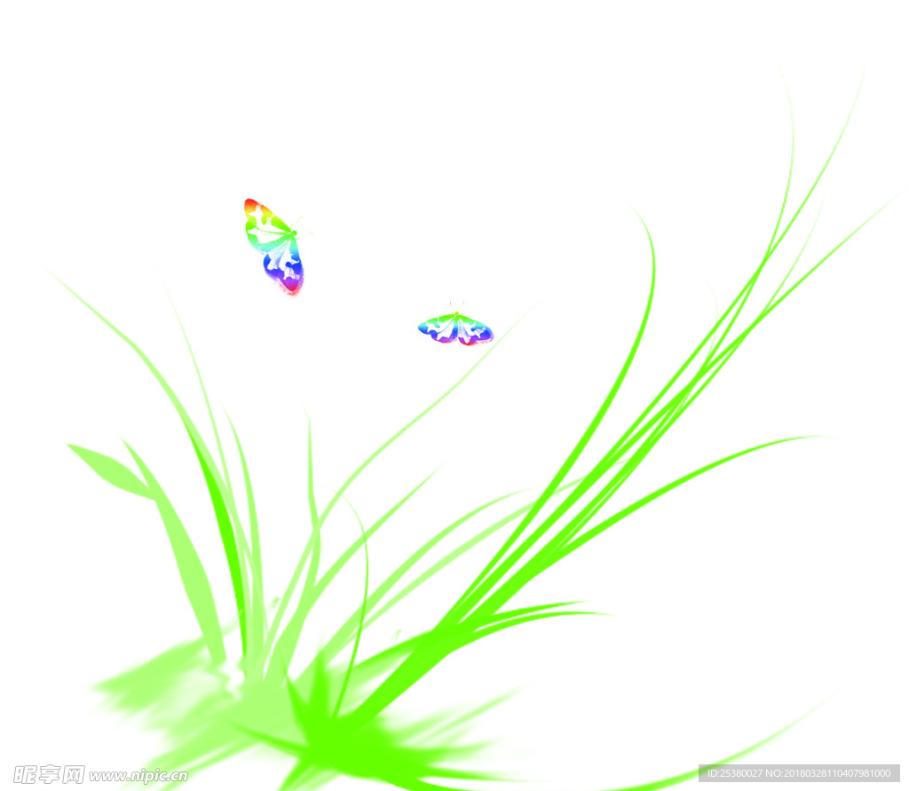 水草蝴蝶