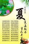 夏季养生