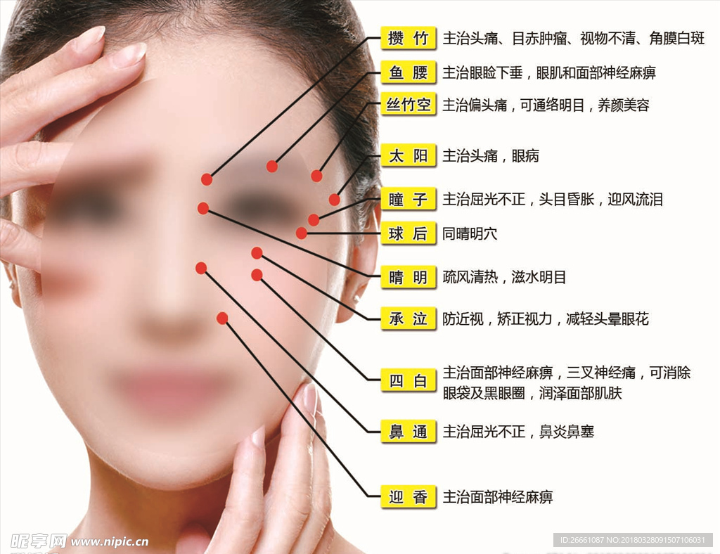 面部穴位