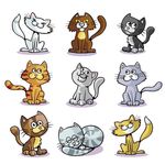 猫