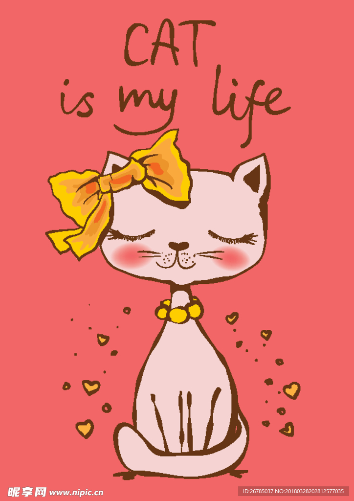 猫