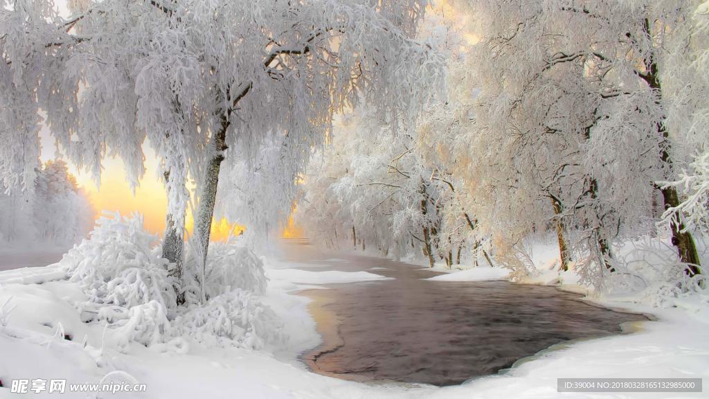 雪景   雪地