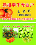 沃柑李子专业户名片