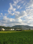 田园乡村