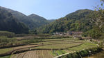田园风光