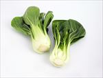 蔬菜
