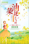 油菜花开旅行社春游踏青旅游