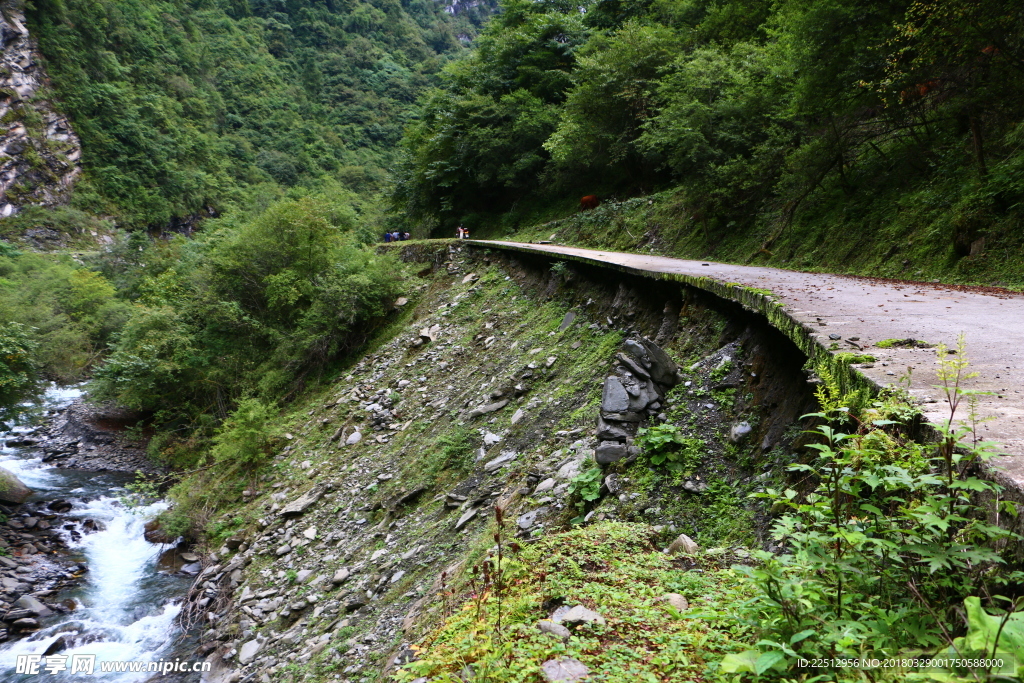 风景