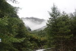 风景