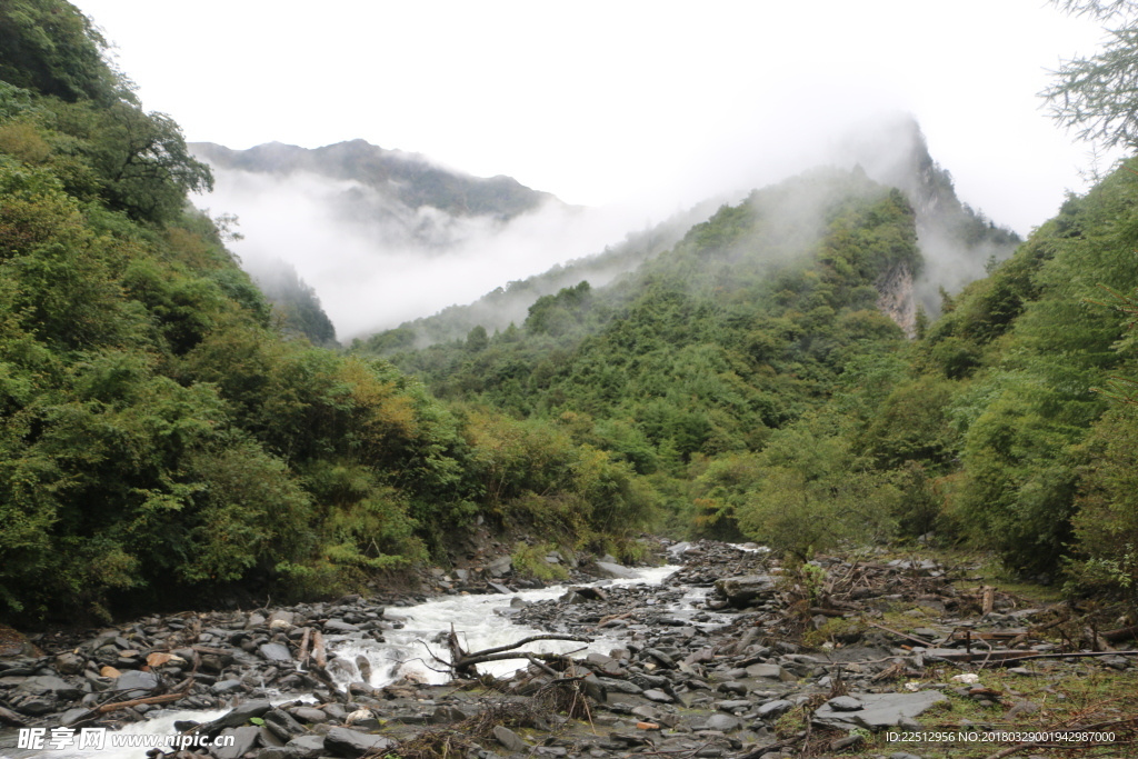 风景