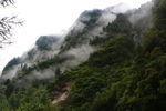 风景
